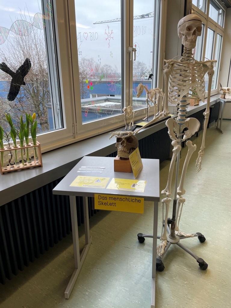 2025 02 Lender Gymnasium Schulleben Tag der offenen Tür (2)