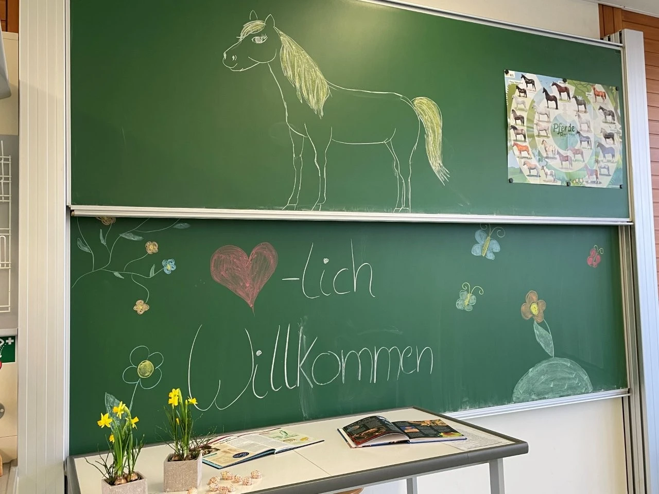 2025 02 Lender Gymnasium Schulleben Tag der offenen Tür (21)