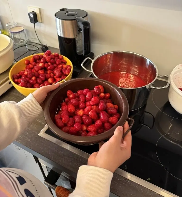 2025 06 Lender Gymnasium Tagesheim Erdbeerzeit (1)