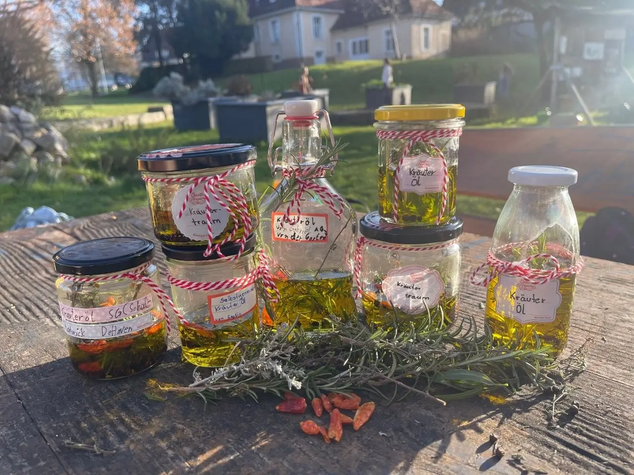 2025 11 lender gymnasium ag schulgarten 5