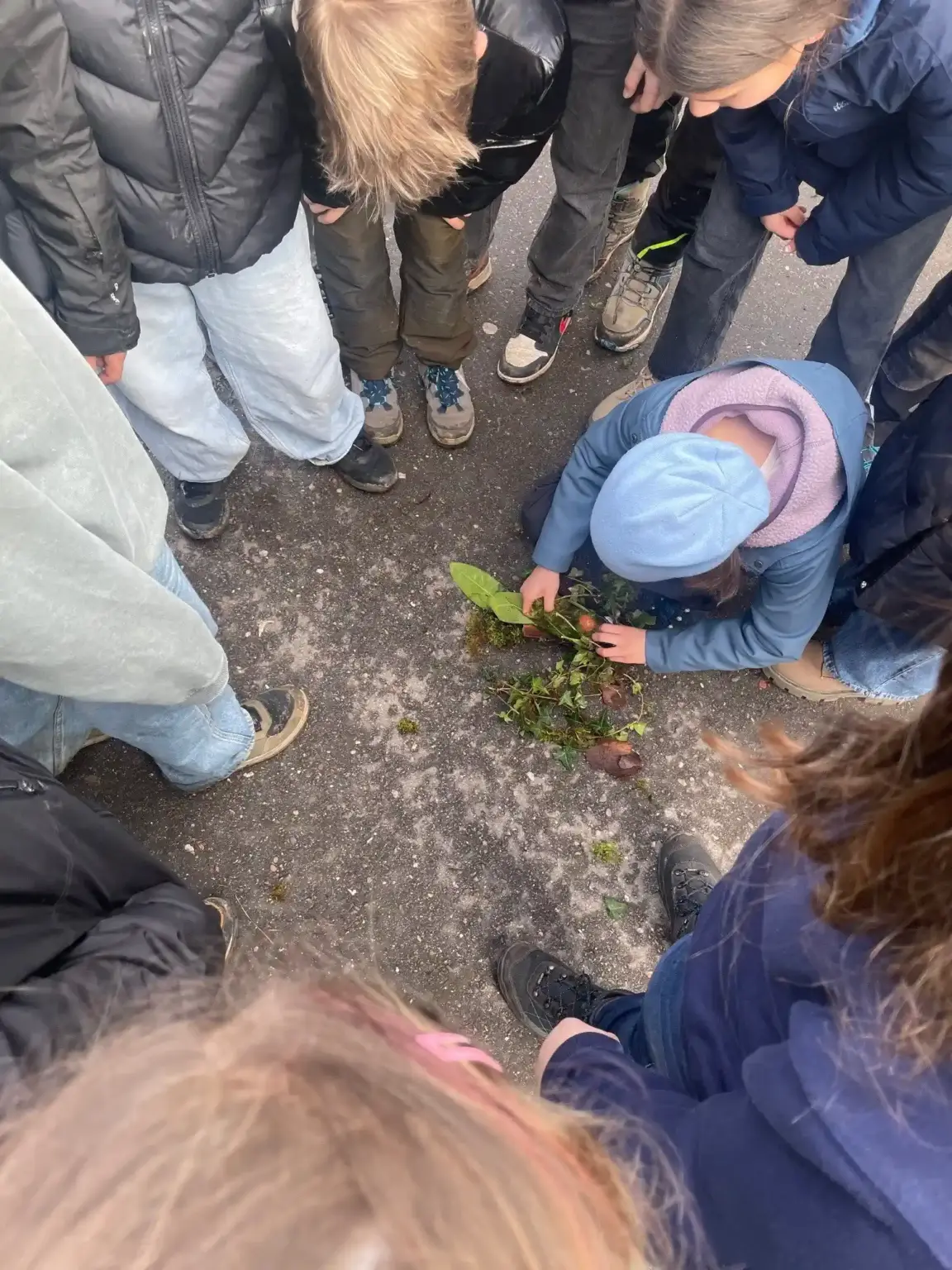 2026 03 Lender Gymnasium Waldklassenzimmer Kunst (5)