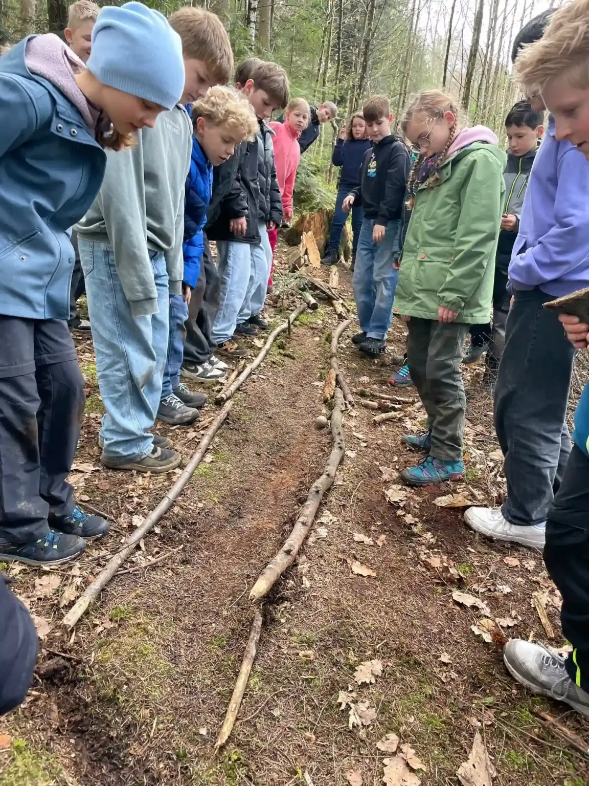 2026 03 Lender Gymnasium Waldklassenzimmer Kunst (6)