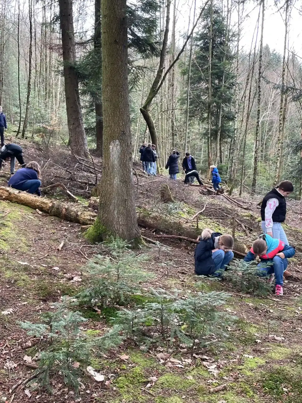 2026 03 Lender Gymnasium Waldklassenzimmer Kunst (8)