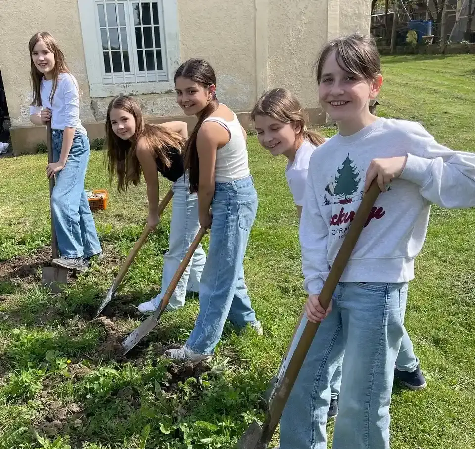 2026 04 Lender Gymnasium Schulgarten AG Kartoffelaktion (3)