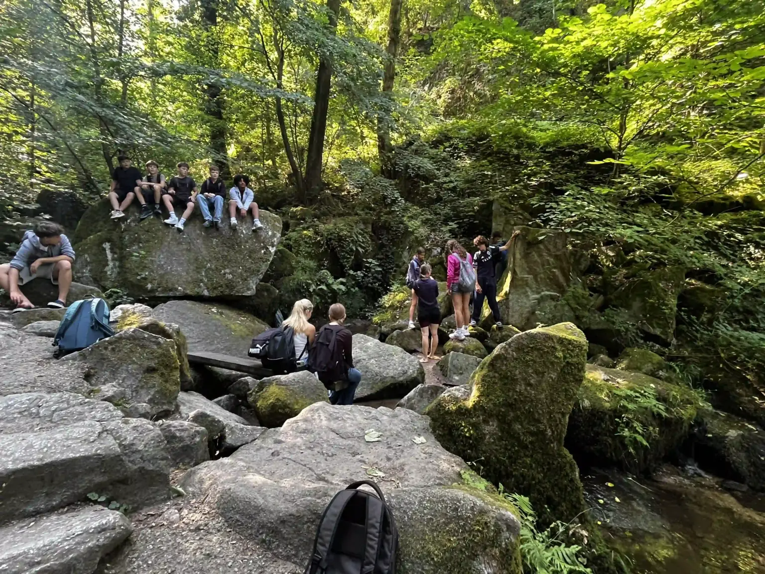 2026 07 Lender Gymnasium Projekttage Natur (3)