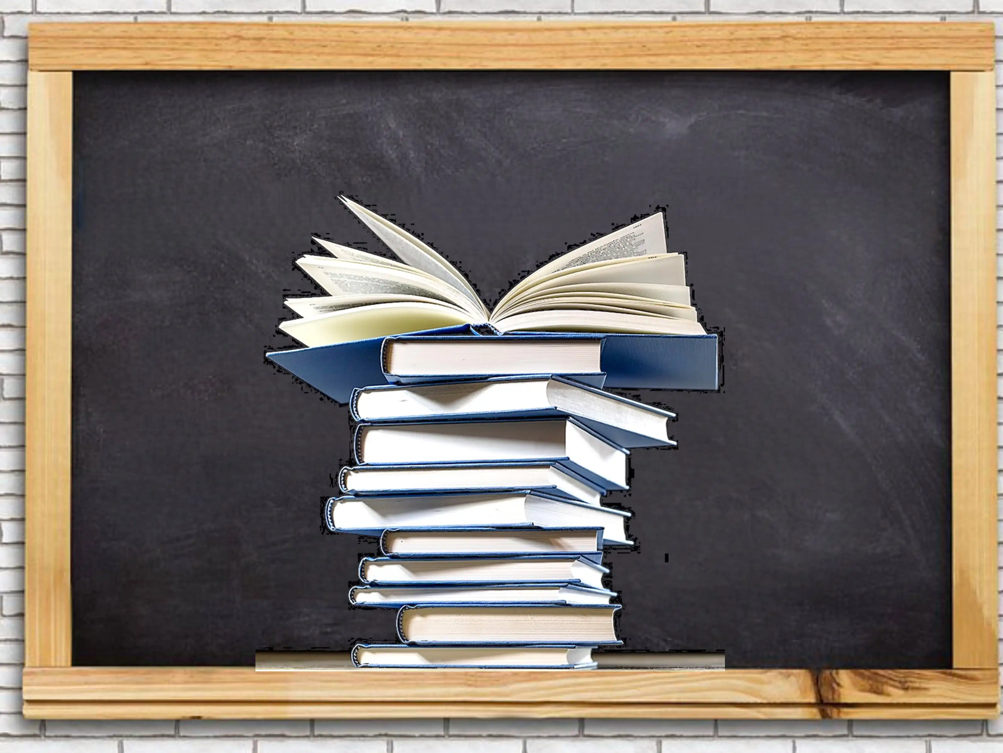 Lender Gymnasium Förder Leseförderung.jpeg